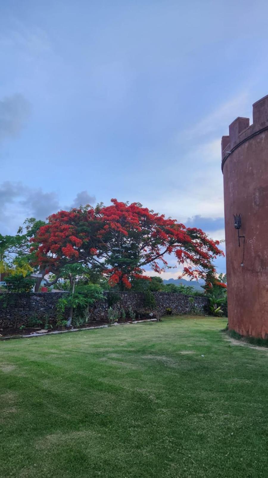 El Castillo Las Galeras Ngoại thất bức ảnh